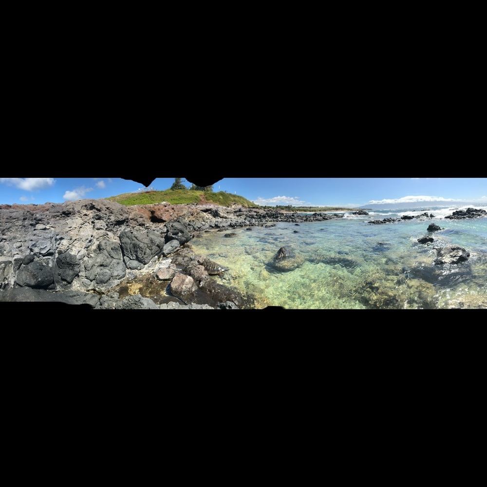 Meet your Posher, Selina